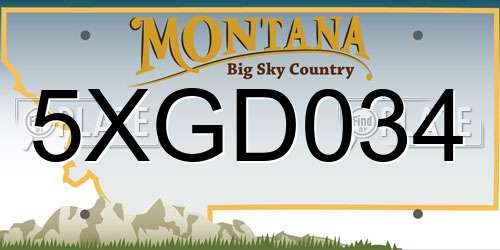 5XGD034 Montana License Plate