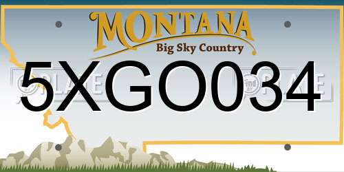 5XGO034 Montana License Plate