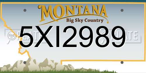 5XI2989 Montana License Plate