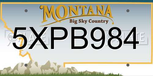 5XPB984 Montana License Plate