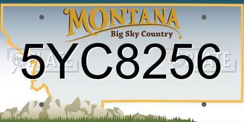 5YC8256 Montana License Plate