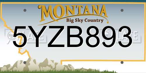 5YZB893 Montana License Plate