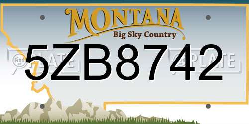 5ZB8742 Montana License Plate