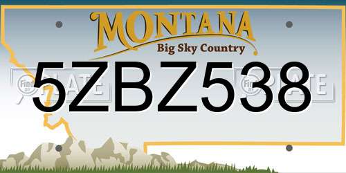5ZBZ538 Montana License Plate