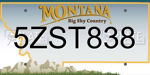 5ZST838 Montana License Plate