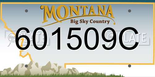 601509C Montana License Plate