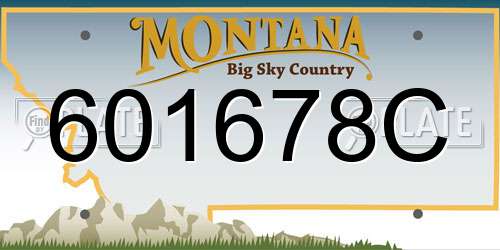 601678C Montana License Plate