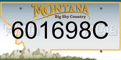 601698C Montana License Plate