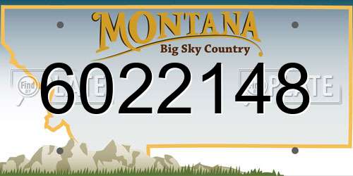 6022148 Montana License Plate