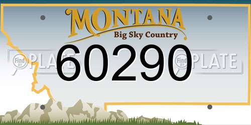 60290 Montana License Plate