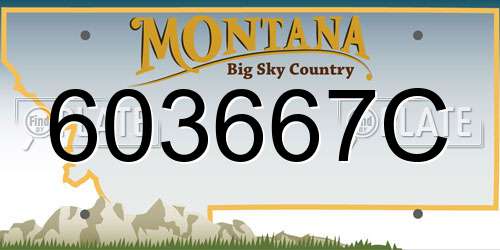 603667C Montana License Plate
