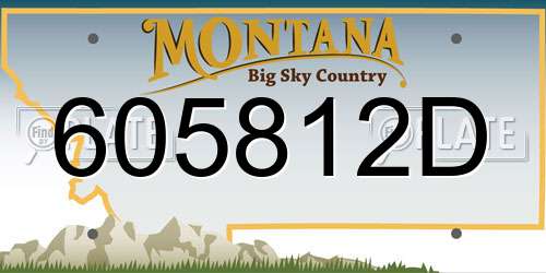 605812D Montana License Plate