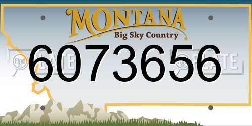 6073656 Montana License Plate