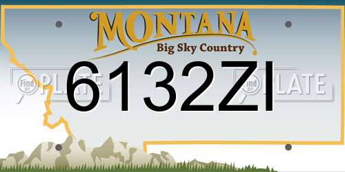 6132ZI Montana License Plate