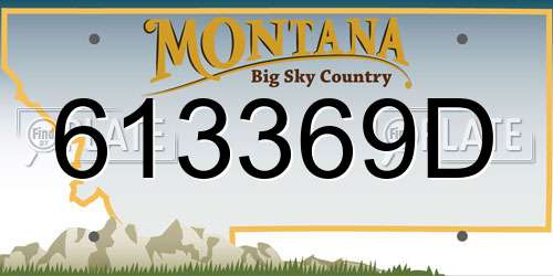 613369D Montana License Plate