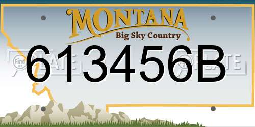 613456B Montana License Plate