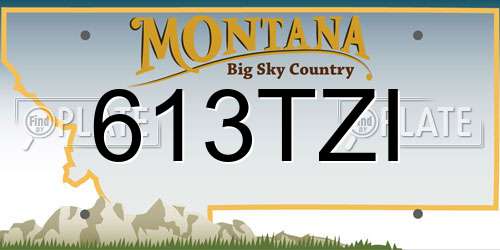 613TZI Montana License Plate