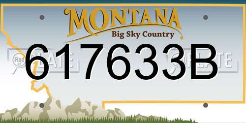 617633B Montana License Plate
