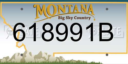 618991B Montana License Plate