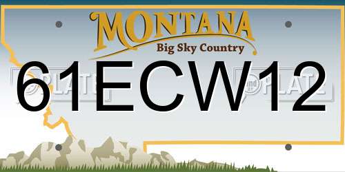 61ECW12 Montana License Plate