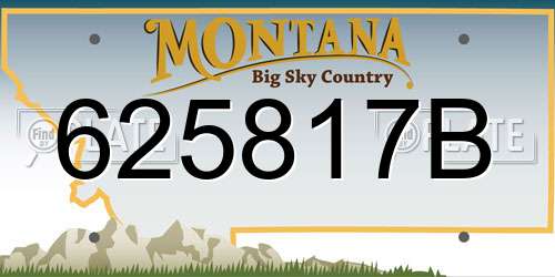 625817B Montana License Plate