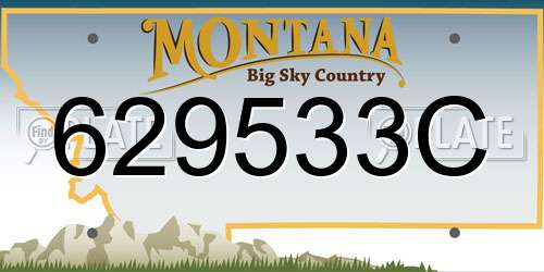 629533C Montana License Plate