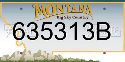 635313B Montana License Plate