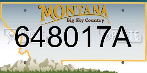 648017A Montana License Plate