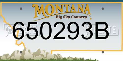 650293B Montana License Plate