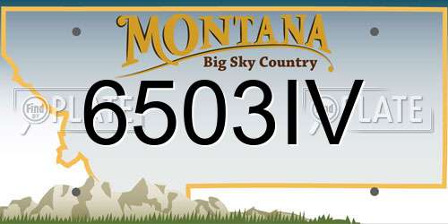 6503IV Montana License Plate