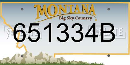 651334B Montana License Plate