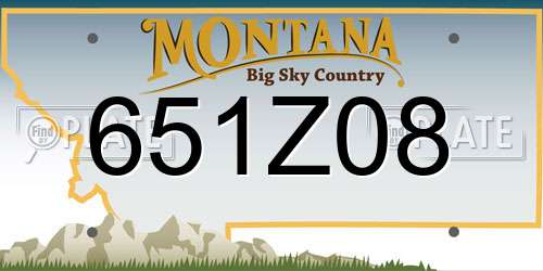 651Z08 Montana License Plate