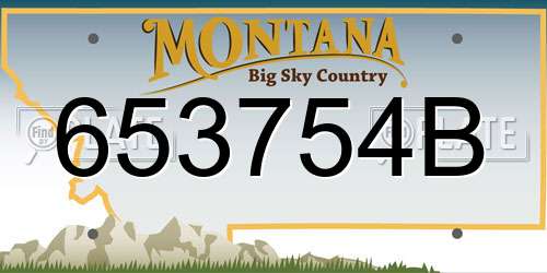 653754B Montana License Plate