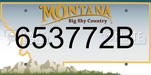 653772B Montana License Plate