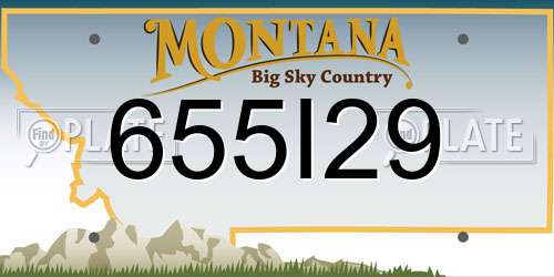 655I29 Montana License Plate