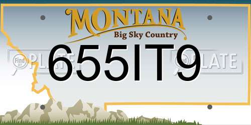 655IT9 Montana License Plate