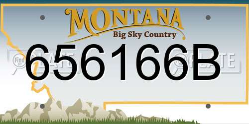 656166B Montana License Plate