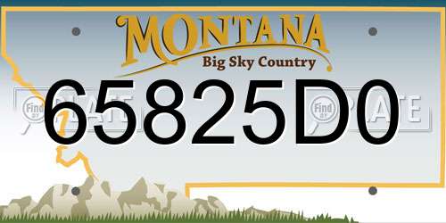 65825D0 Montana License Plate