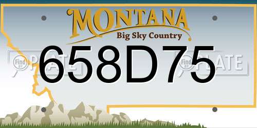 658D75 Montana License Plate