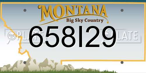 658I29 Montana License Plate