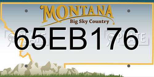 65EB176 Montana License Plate