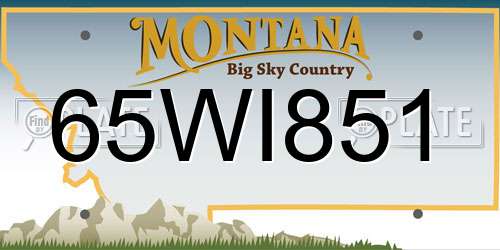 65WI851 Montana License Plate