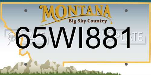 65WI881 Montana License Plate