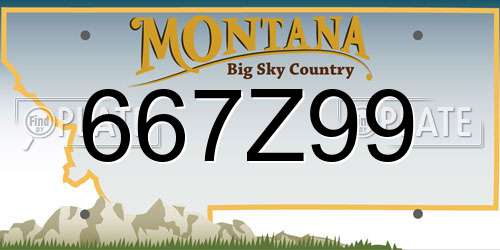 667Z99 Montana License Plate