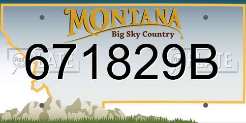 671829B Montana License Plate