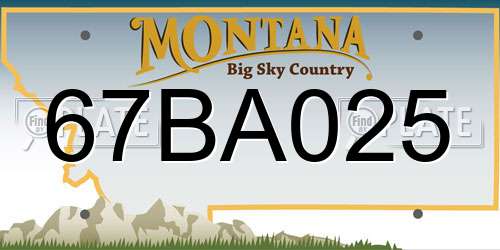 67BA025 Montana License Plate