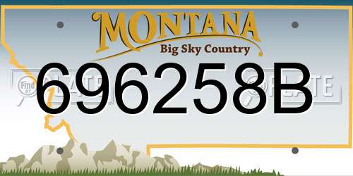696258B Montana License Plate