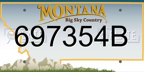 697354B Montana License Plate