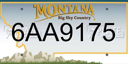 6AA9175 Montana License Plate