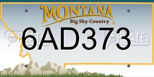 6AD373 Montana License Plate